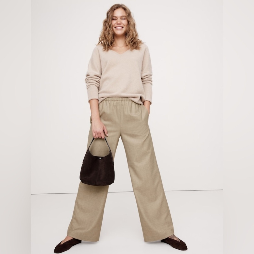 NWT Banana Republic Pull On Wide Leg Lightweight Wool beige Flannel pants